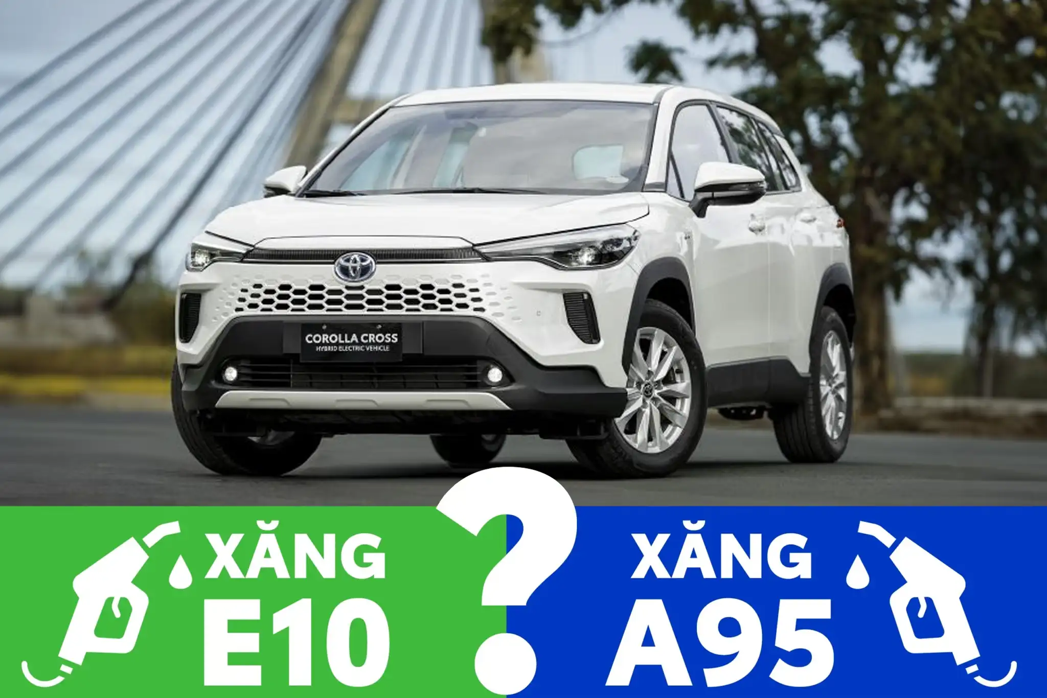 Có nên dùng xăng E10 cho Toyota Cross Ưu nhược điểm chi tiết 02